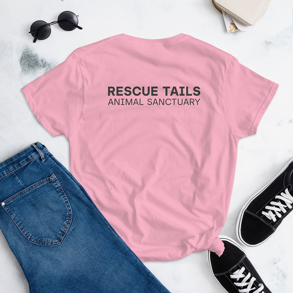 Thumbnail: Women's Fitted T-Shirt Light