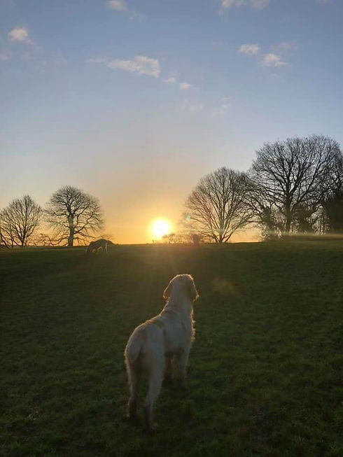 Sunset.jpg