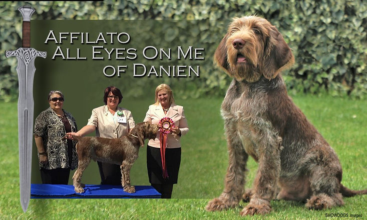 Affilato All Eyes on Me of Danien