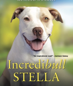 Incredible Stella (Incredibull Stella / Stella's Rescue Rehab)