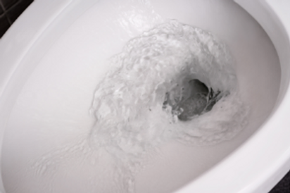 images How To Fix A Clogged Toilet clogged toilet isky plumbing