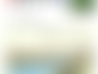 花だより
