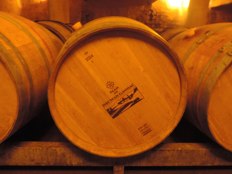 Mas de Daumas Gassac barrel ageing cellar