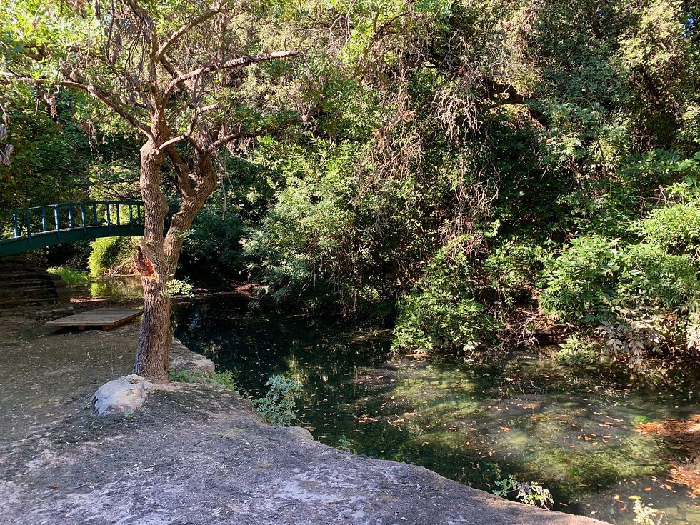 Gassac stream 