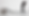 mockups (1).png