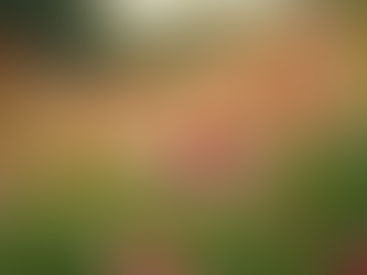 Superando Medos: Terapia para Mulheres na Aposentadoria