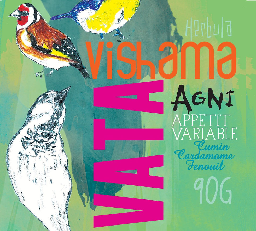 Poudre digestive Vata