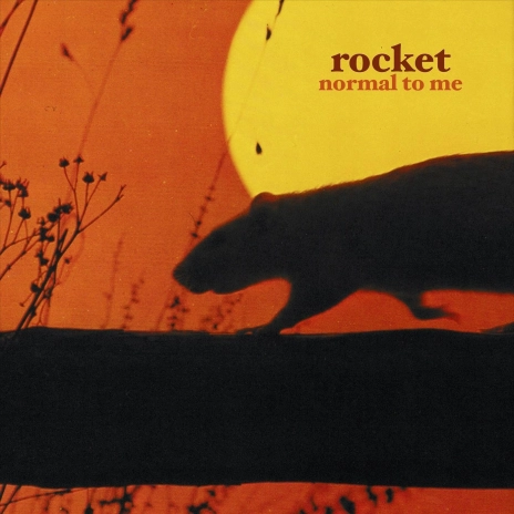 Rocket - Normal To Me