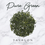 Thumbnail: Pure Green - Green Tea