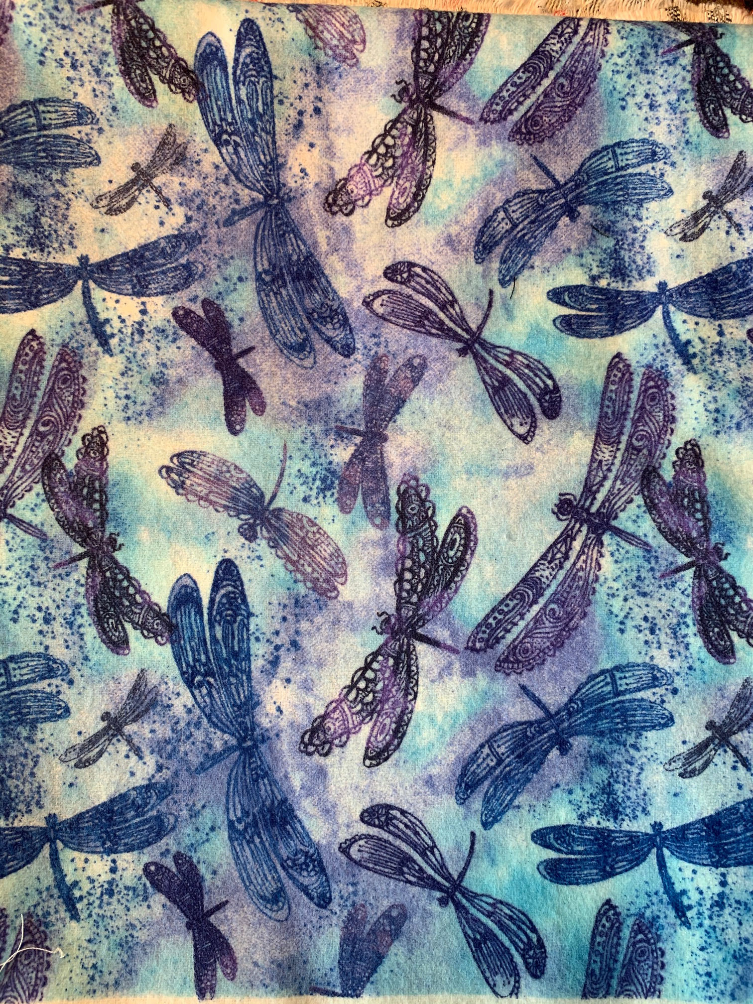 Insects Dragonglies Blue