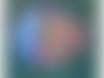 Depose à la galerie Open Space