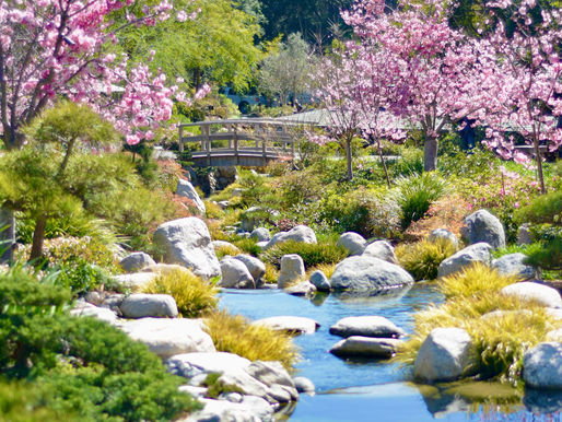 Welcoming Kapha Season