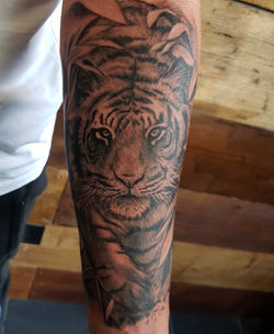 Tiger-Forearm
