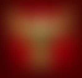 NO MORE BULL premieres at Edinburgh Festival