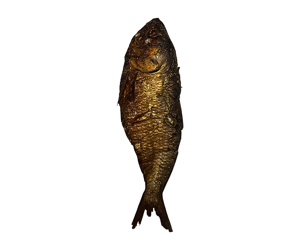 Thumbnail: Bonga Fish
