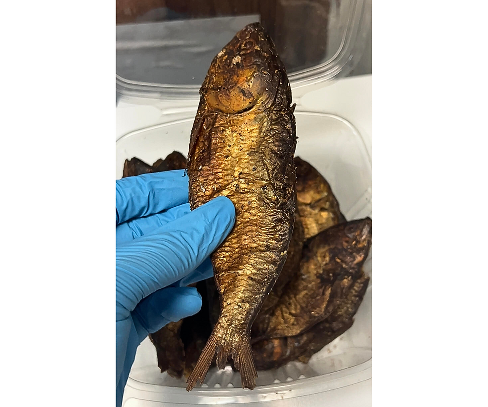 Thumbnail: Bonga Fish