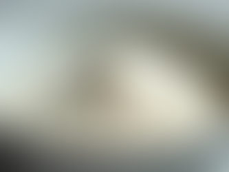 Understanding Milk Powder Pricing: Insights into Market Trends