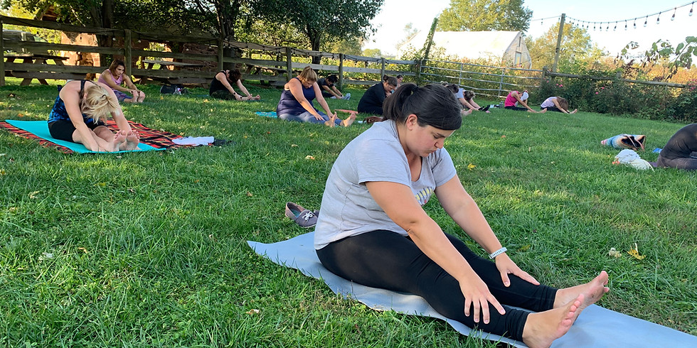 Yoga on the Farm at Rocklands Farm Winery