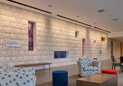Temple Beth Sholom Windows