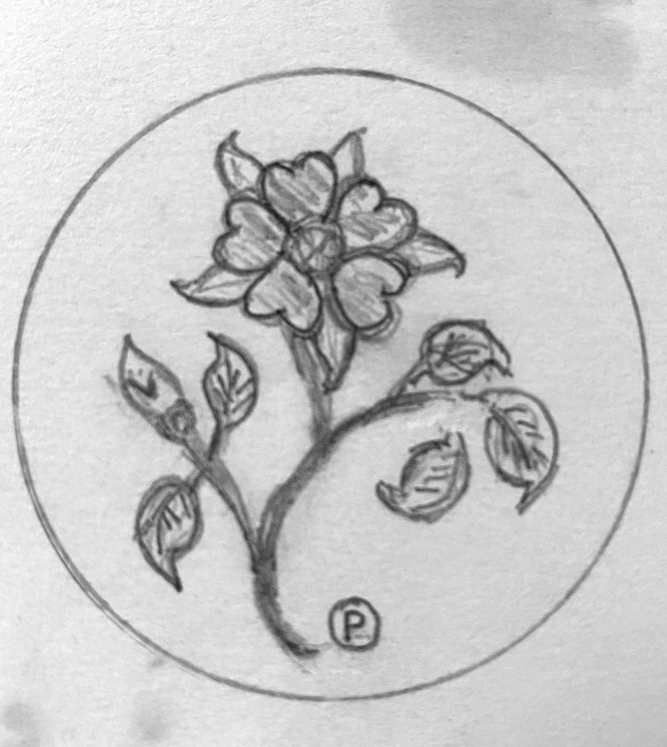 IMG_2041.gif