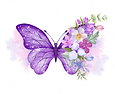 watercolor-ornamental-butterfly-with-floral-decoration_heic.heic