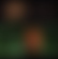 El Gesto Arquitectónico