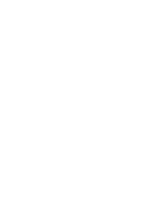 avion.png