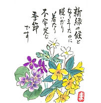 新緑.jpg
