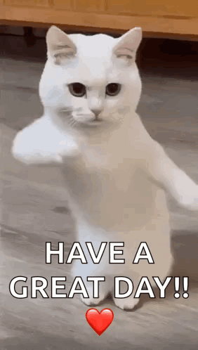 CoolFunGIF.gif