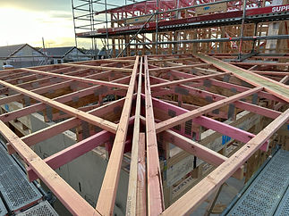roof1.jpg