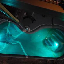 🌱 Go Green & Save Green: New Energy Efficiency Initiatives for Pools