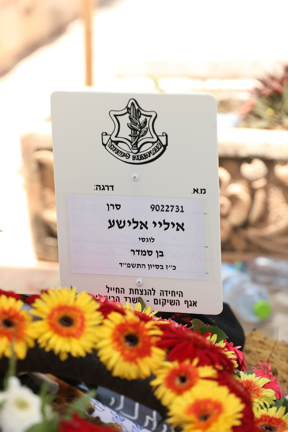 קליין-9241