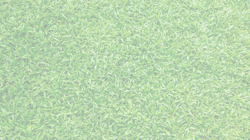 grass_edited.jpg