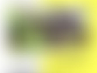 11/1(日)開催「歴史的街並み保存活用勉強会」