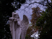 a man in olympia
