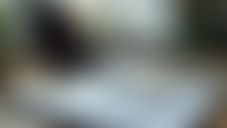 Wie Online-Coaching Arbeitgeber unterstützt: Coaching für Arbeitgeber