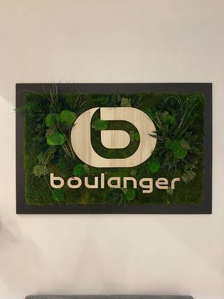 Logo Boulanger végétal, logos végétaux entreprise.