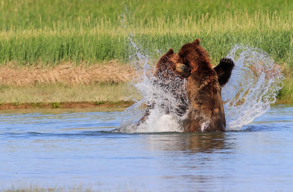 Natural Habitat Adventures northernexposure