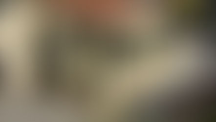 Découvrez notre dernière réalisation :