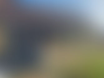 Fabrication et installation d'une véranda