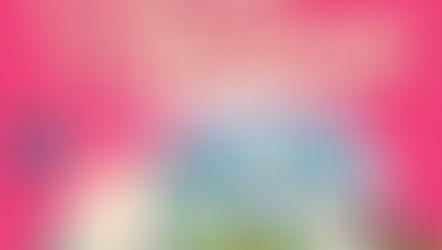 ✨ 1️⃣9️⃣️ème Salon de l'Habitat du 06 au 08 mars 2026 !