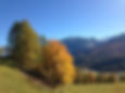 Wandern im Herbst