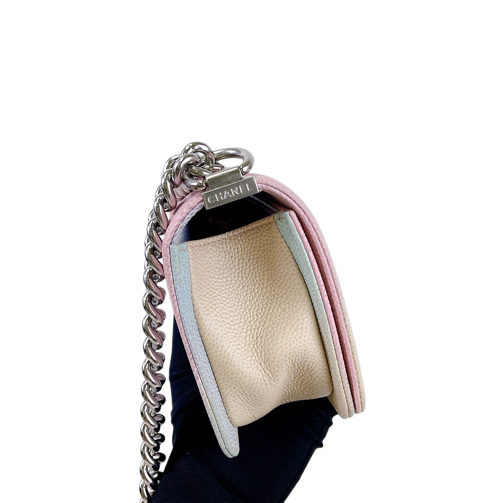 Thumbnail: CHANEL Leboy Small Caviar Rainbow 