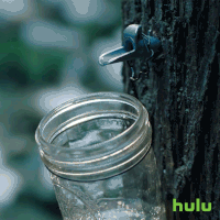 sap gif.gif