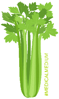 Celery gif.gif