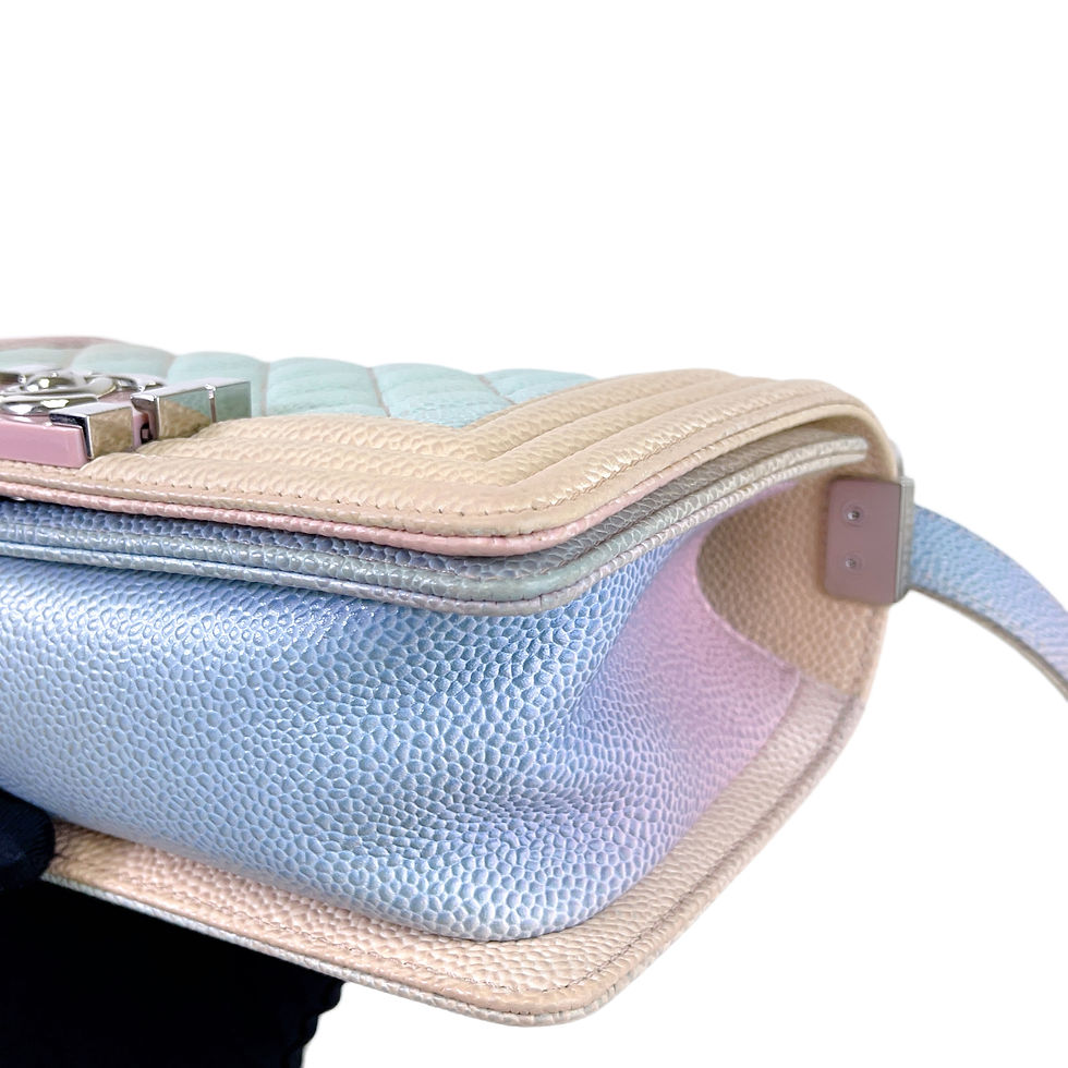 Thumbnail: CHANEL Leboy Small Caviar Rainbow 