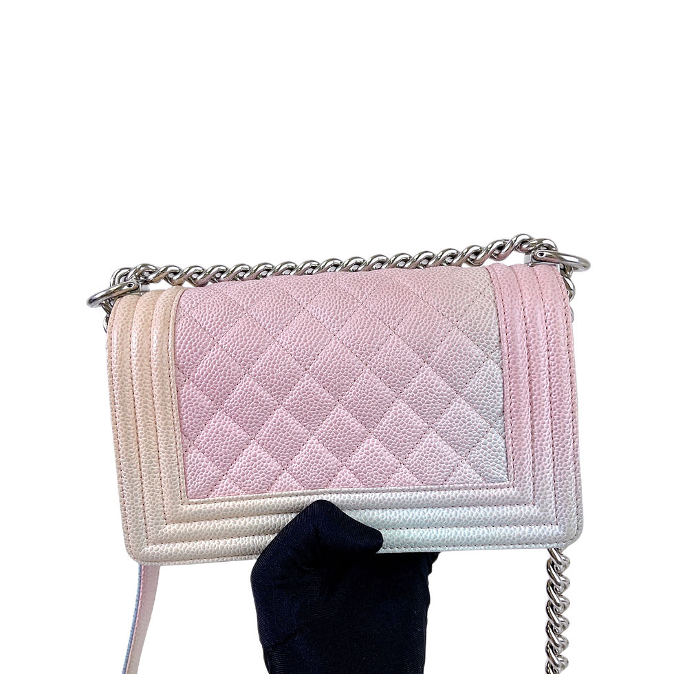 Thumbnail: CHANEL Leboy Small Caviar Rainbow 