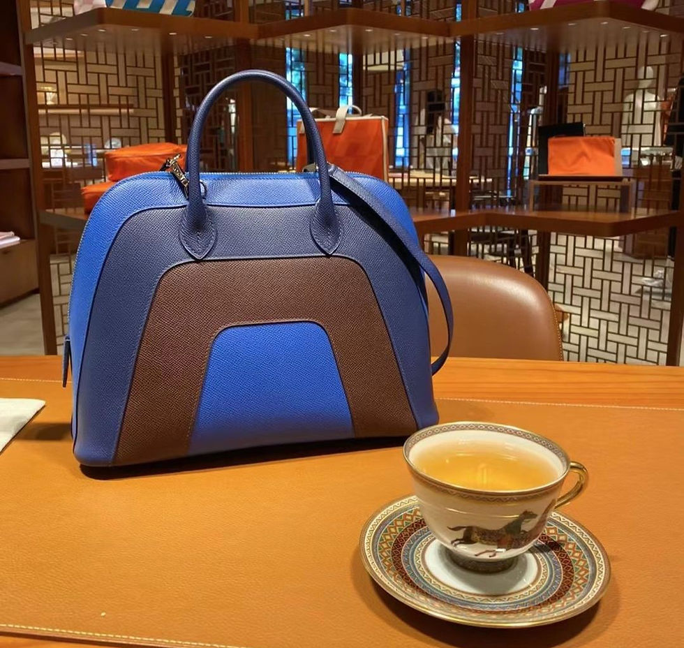 Thumbnail: Hermes bolide 31 VIP限定彩虹 