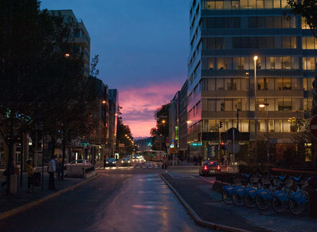 274_360 - Pink wink.jpg