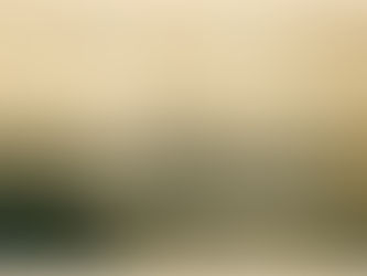 Artifact Friday: Omaha Beach picture